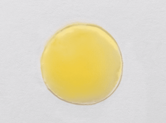 Skin Script Triple C Serum