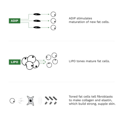Adipeau Volume Cream