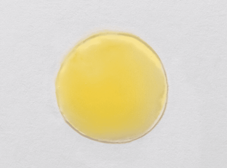 Skin Script Triple C Serum
